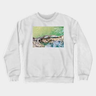 Water Snake Slithering Along Crewneck Sweatshirt